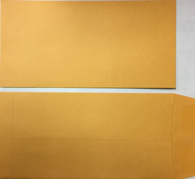 LPEV • Blank License Plate Envelopes